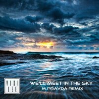 We Will Meet In The Sky - Viki Lee & M.PRAVDA