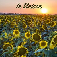 Opus Pays Under a Topic - Nature Sounds for Relaxation and Sleep