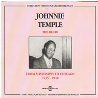 Skin and Bones Woman - Johnnie Temple
