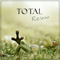 Serenity (Beautiful Piano Music) - Relaxing Music Zone