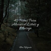 Profundamente Dormido - Naturaleza Sonidos & Meditacionessa & Sonidos de la Naturaleza para Dormir