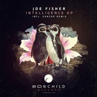 Intelligence - Joe Fisher & sancha