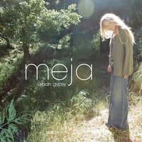 I Don't Recognize You - Meja