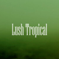 Tranquil Beach Trap - Vadim Vogue