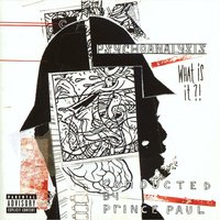 Why Must You Hate Me? - Prince Paul