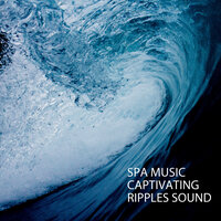 Picnic By The Shore Music - Spa Relaxation & Spa & Deep Focus & Soothing Music for Sleep