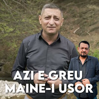 TE ZBATI ZECI DE ANII - IONUT BAU