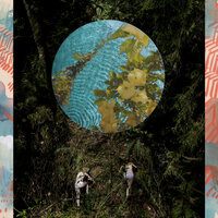 IFH - Loon