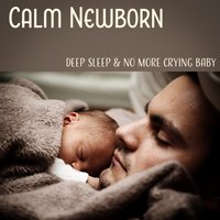 Blazing Bonfire in the Middle of the Night - Newborn Baby Song Academy