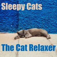 Relax Your Cat - The Cat Relaxer
