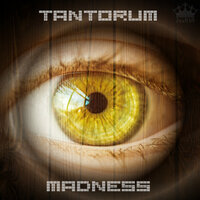 Frenzy - Tantorum
