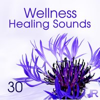 Guitar Music Spa & Wellness - Wellness Spa Oasis