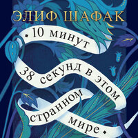 Элиф Шафак. «10 минут 38 секунд в этом странном мире». Часть 24 - Юлия Тархова