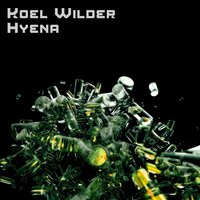Junction - Koel Wilder