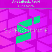 Luna Moth - Ant LaRock & Pat H
