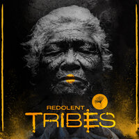 Deep In The Jungle - Robbie Akbal & Alice Rose
