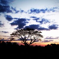 Journey to Relaxation - Lullabys Baby Club & Sleep Makers Samples & Sound Sleeping