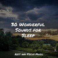 Fireside Exhale - Relaxing Mindfulness Meditation Relaxation Maestro & Tinnitus Aid & Calming Sounds