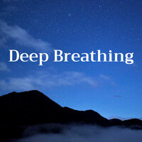 Meditation Session - Zen Room Masters