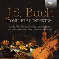 I. Allegro - Musica Amphion & Johann Sebastian Bach