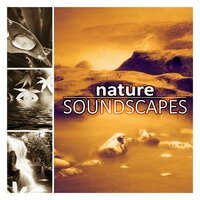 Nature Soundscapes - Sounds of Nature Kingdom