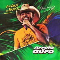 Amor Verdadeiro - Arreio de Ouro