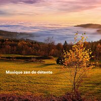 Sunrise Balance - Zen Musique Détente & Musique Calme et Relaxation & Relaxation Sommeil et Détente
