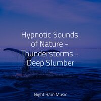 Heavy Droplets & Birds - Namaste Healing Yoga & Sonidos de lluvia para dormir & Meditation Awareness