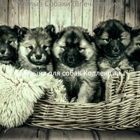 Звуки (Милые Собаки) - Музыка для собак Коллекции