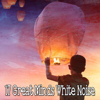 Смена ветров - White Noise Research