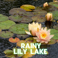 Autumn Lake Soothing Rain - Lake Sounds & Rain Unlimited & Water Sounds & Rain Power & Rain Sound & Weather For Sleep