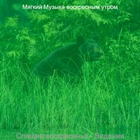Атмосфера (Воскресенье) - Мягкий Музыка воскресным утром