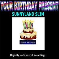 My Heavy Load - Sunnyland Slim