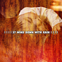Мрачная погода - Rain Sounds XLE Library