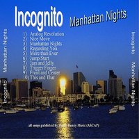 Regarding You - Incognito