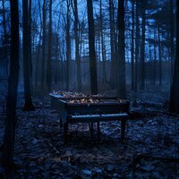 Latido Resonante Del Sueño - Meditación del sueño & Soñar con & En Lo Profundo