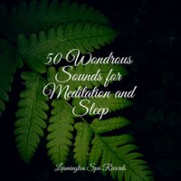 Calm Seas - Sonidos De Lluvia y Tormentas & Tonal Meditation Collective & Música para Relaxar Maestro