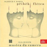 Musica da camera for Strings: II. Andante - Ilja Hurnik & Eduard Fischer & Prague Chamber Soloists