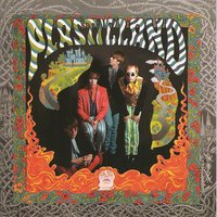 Sections - Plasticland