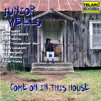 Trust My Baby - Junior Wells & Corey Harris