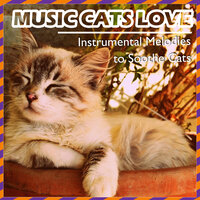 Background Music for Cats - Cat Music Dreams & Relax My Cat & RelaxMyCat