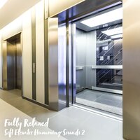 Soft Elevator Humming Sounds, Pt. 9 - Steve Brassel