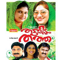 Nylaarozhukunna - Afsal