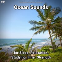 Ocean Sounds Part 87 - shoreline sounds & Nature Sounds & Ocean Sounds