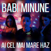 Ai Cel Mai Mare Haz - Babi Minune