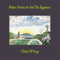 Luminous Rose - Robyn Hitchcock