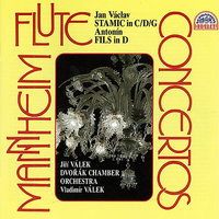 Concerto for Flute and Orchestra in G-Sharp Major, Op. 29, .: I. Allegro - Dvořák Chamber Orchestra