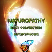 Pacific Ocean Waves - Naturopathy Music Collection