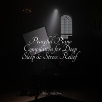 Stay Positive - Concentration Study & Gentle Piano Music & Piano Shades