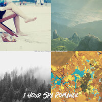 Brilliant Moods for Body Cleansing - 1 Hour Spa Romance